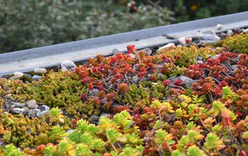 the cost of Scotter green roof installation