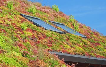 Scotter living roof systems