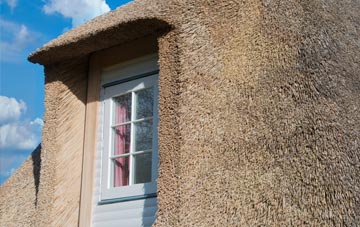 Scotter thatch roof disadvantages